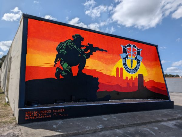 Special Forces Soldier